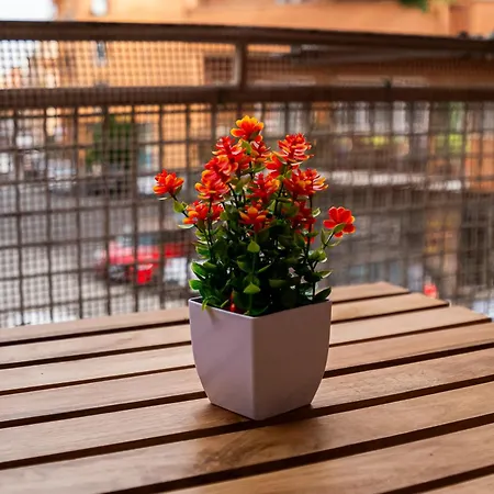 Domus63 Modern & Quiet Апартаменты Рим